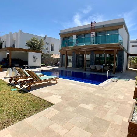 Ultra Luxury Private Villa With Swimming Pool 博德鲁姆 外观 照片