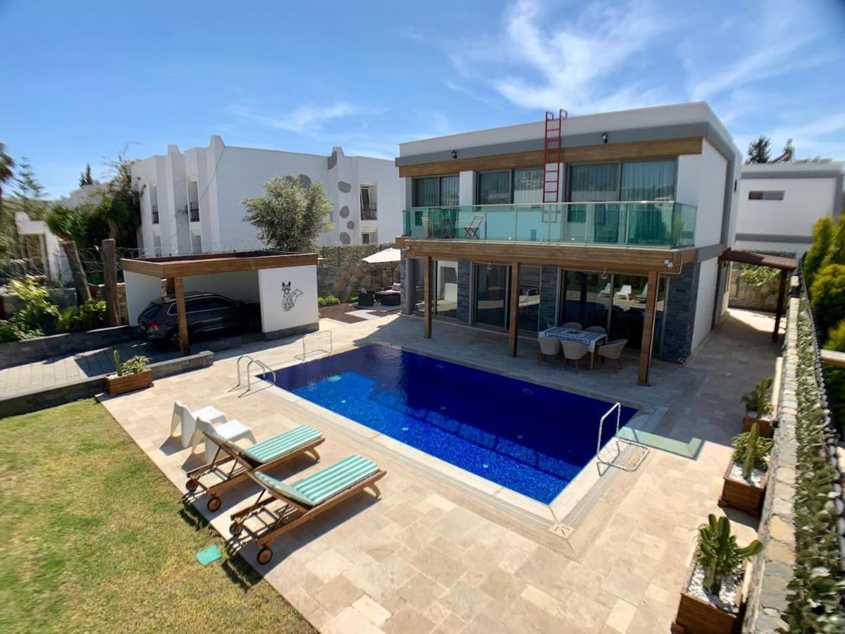 Ultra Luxury Private Villa With Swimming Pool 博德鲁姆 外观 照片