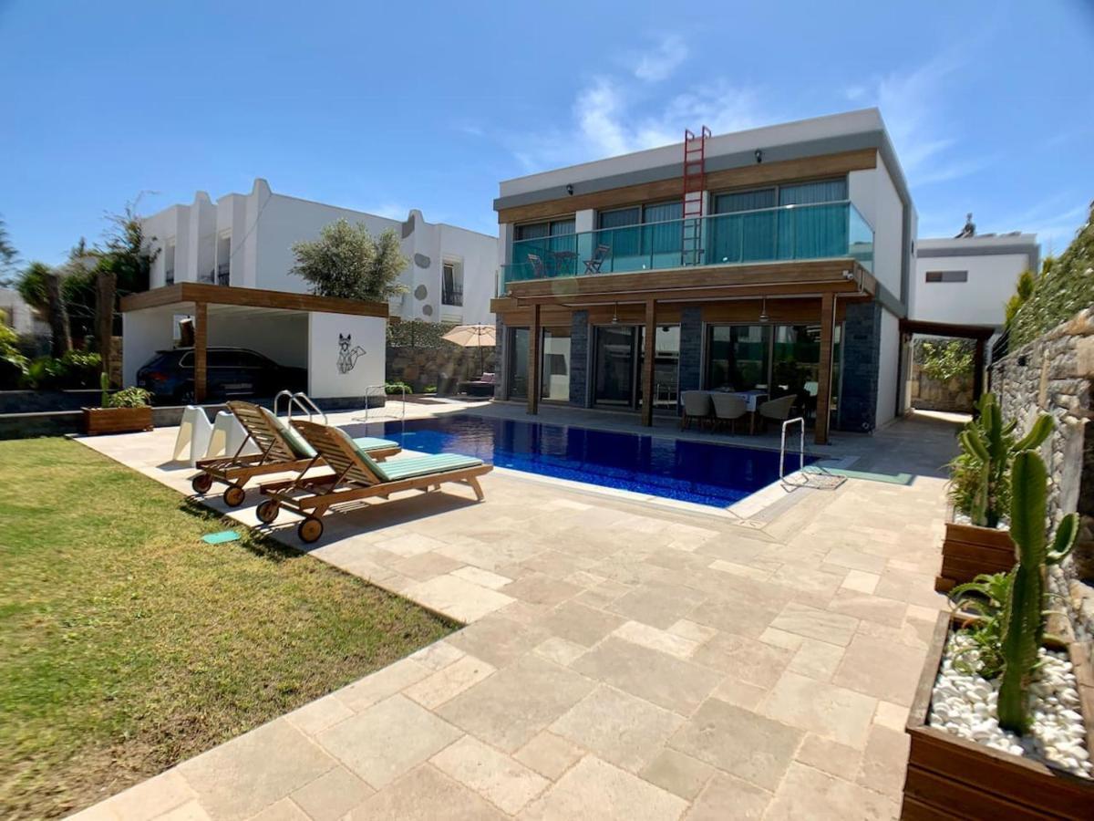 Ultra Luxury Private Villa With Swimming Pool 博德鲁姆 外观 照片